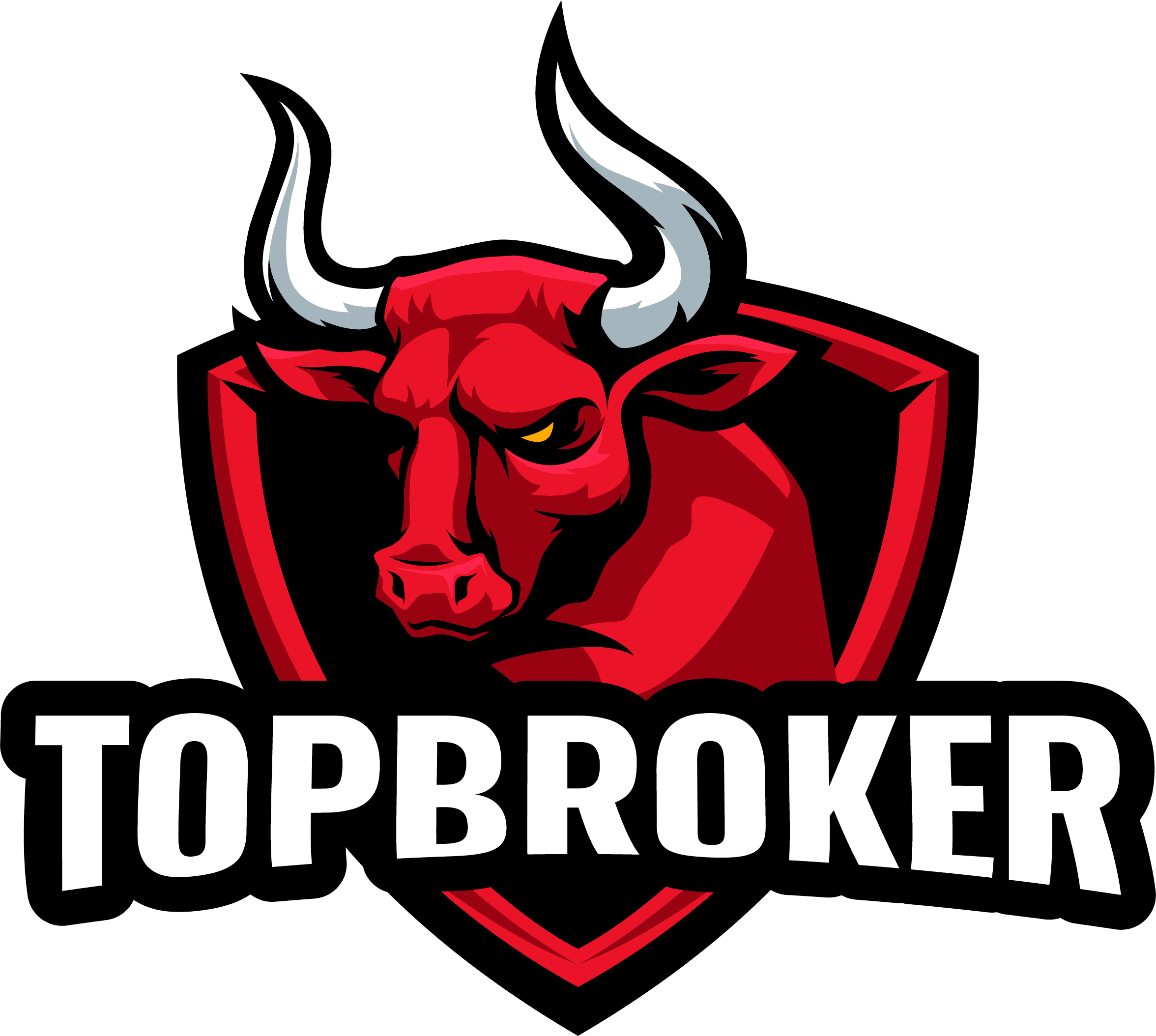Top Broker VN
