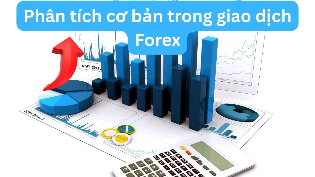 Phân tích cơ bản trong giao dịch Forex