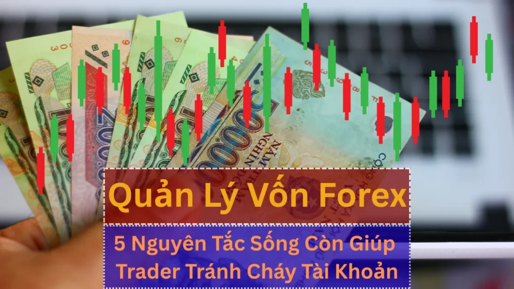 Quản Lý Vốn Forex