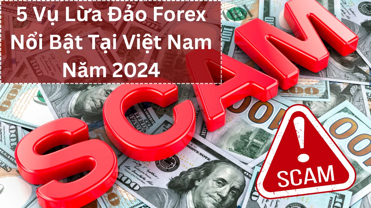 Vụ Lừa Đảo Forex
